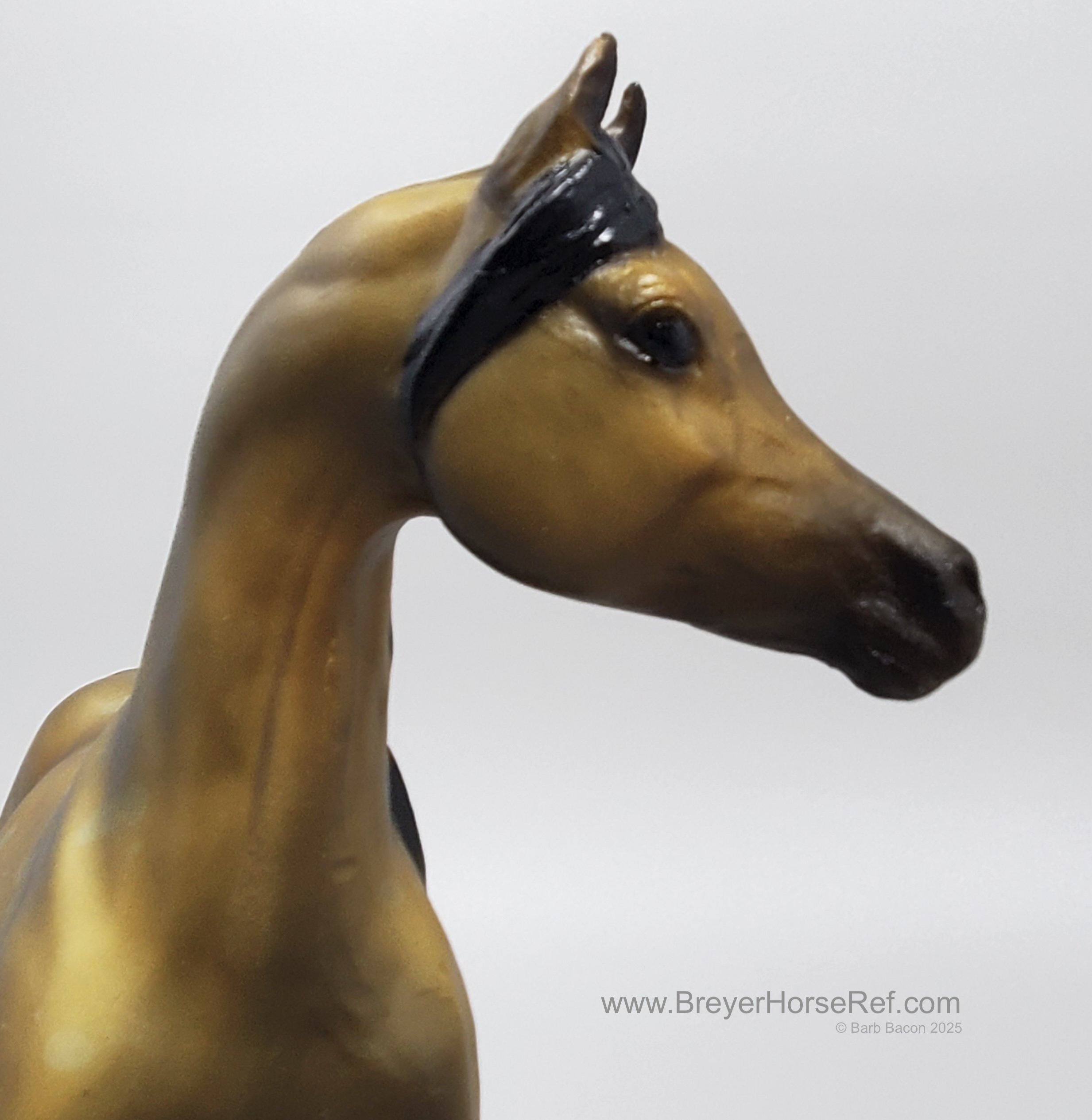 Arabian Stallion & Foal Gift Set | BreyerHorseRef