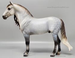 Spanish Stallion - Duende