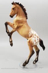 Mustang Foal - Firestorm