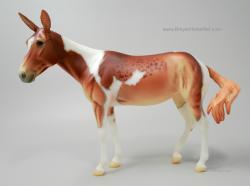 Winnifred Molly Mule