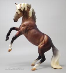 Rearing Andalusian Mare