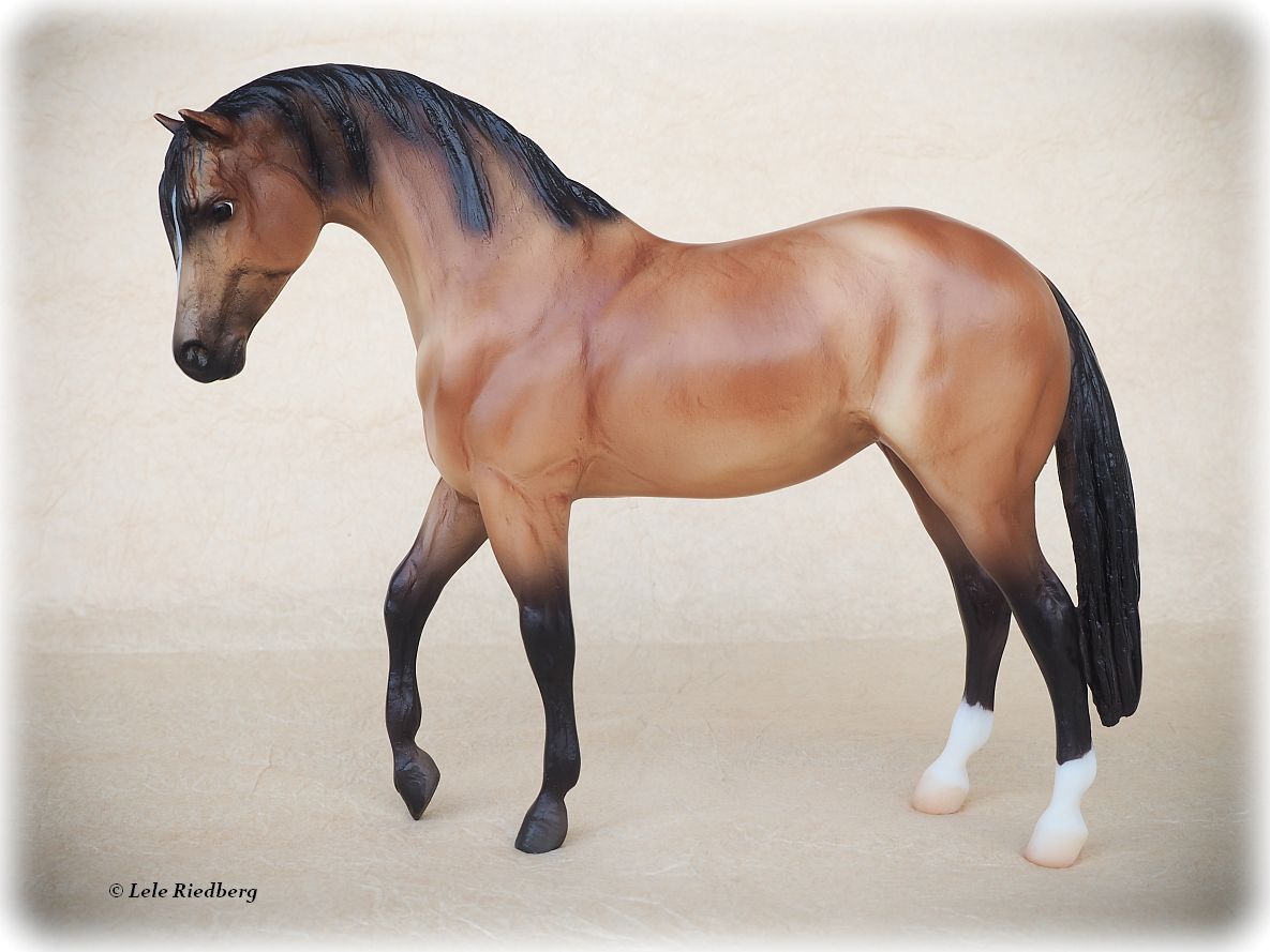 Let’s Go Riding - Western | BreyerHorseRef