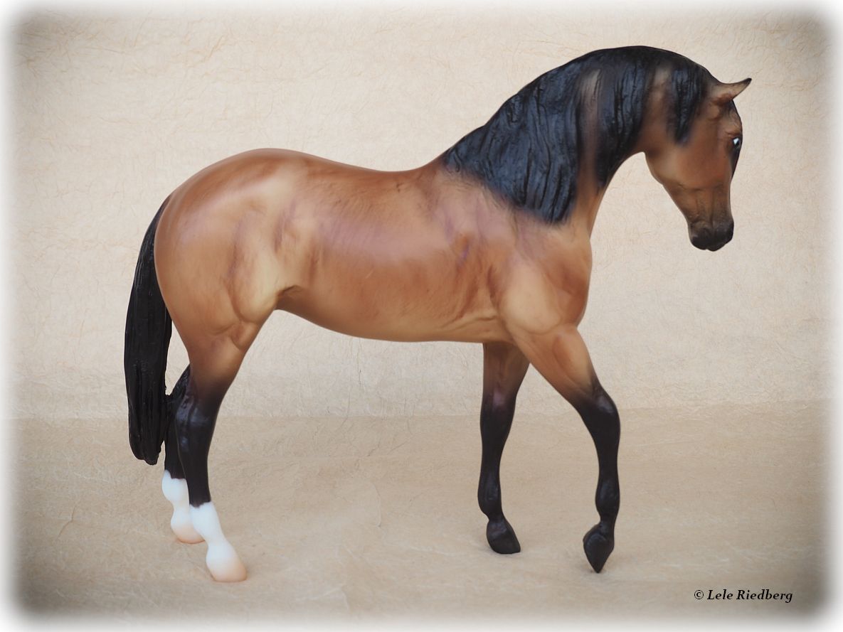 Let’s Go Riding - Western | BreyerHorseRef