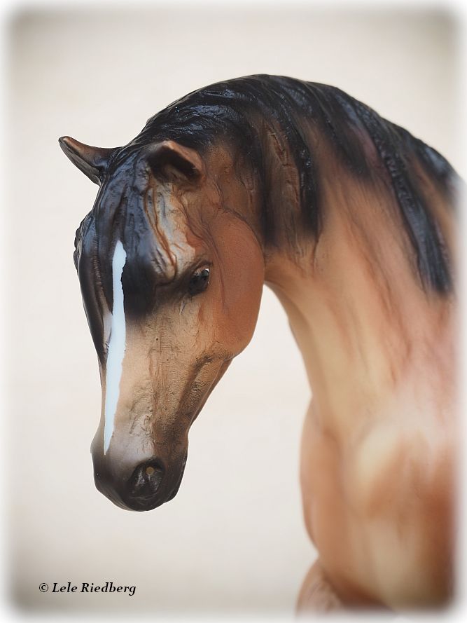 Let’s Go Riding - Western | BreyerHorseRef