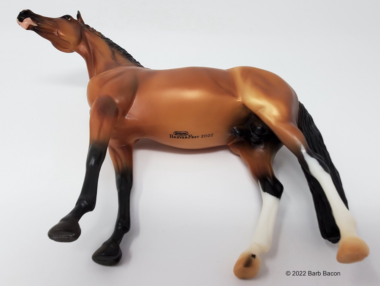 Nikolas BreyerHorseRef