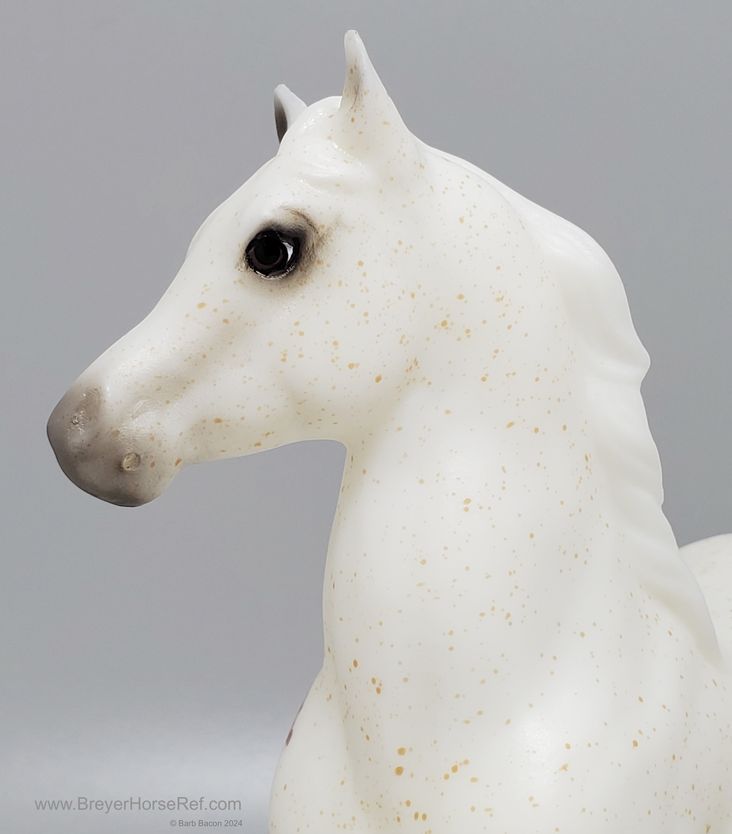 Zayn - Flea-Bit Bloody Shoulder | BreyerHorseRef