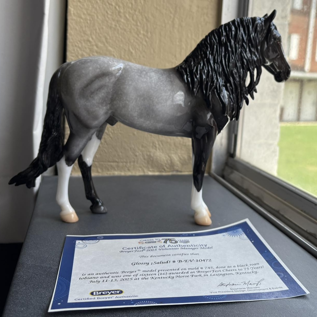 ¡Salud! - Black Roan Tobiano Glossy | BreyerHorseRef