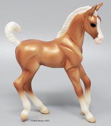 CL Trotting Stock Horse Foal