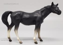 SM Thoroughbred Mare G1