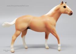 SM Quarter Horse Stallion G1