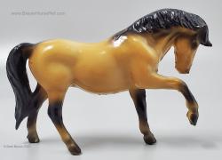 SM Quarter Horse Mare G1