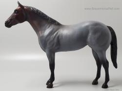 Ideal American Quarter Horse