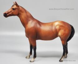 CL Quarter Horse Mare QHM