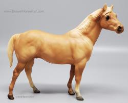 CL Quarter Horse Stallion QHS