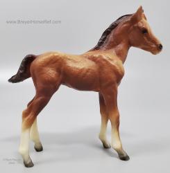 CL Mustang Foal