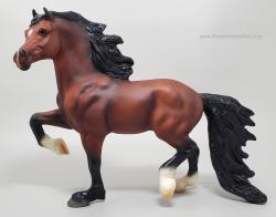 Llanarth True Briton - Welsh Cob