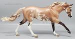 Australian Stock Horse - Dundee